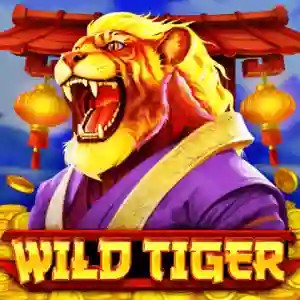 Wild Tiger game by BGAMING – logo hosted on ESC Casino
